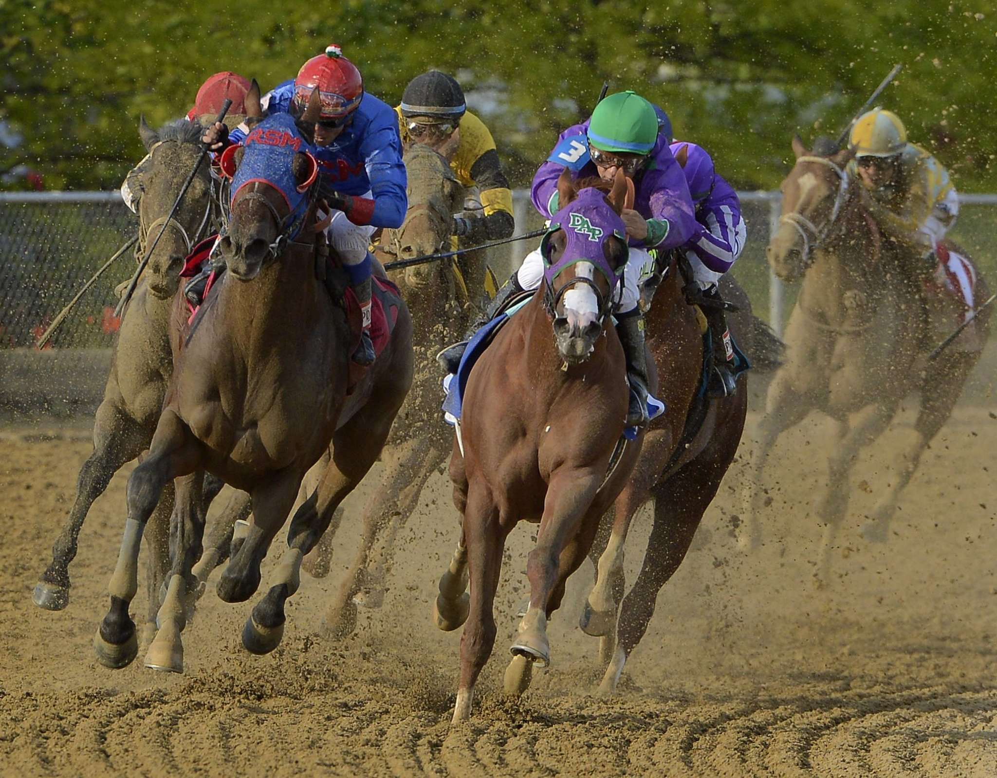 Betting On Horse Racing