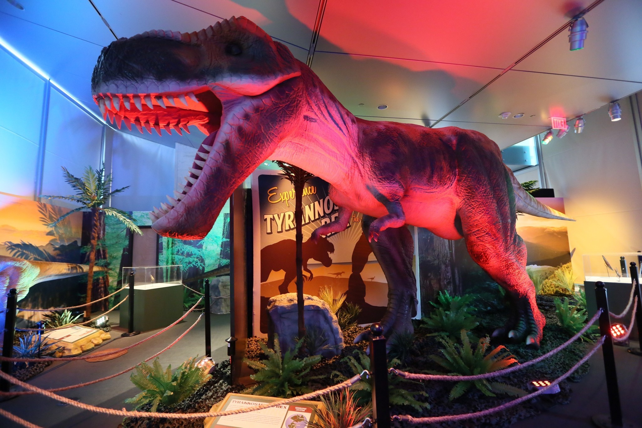 'Dinosaurs Around the World' coming to South Florida ...