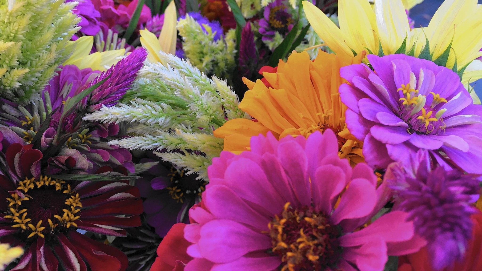 Add fresh-cut flowers to your farmers market shopping list - The ...
