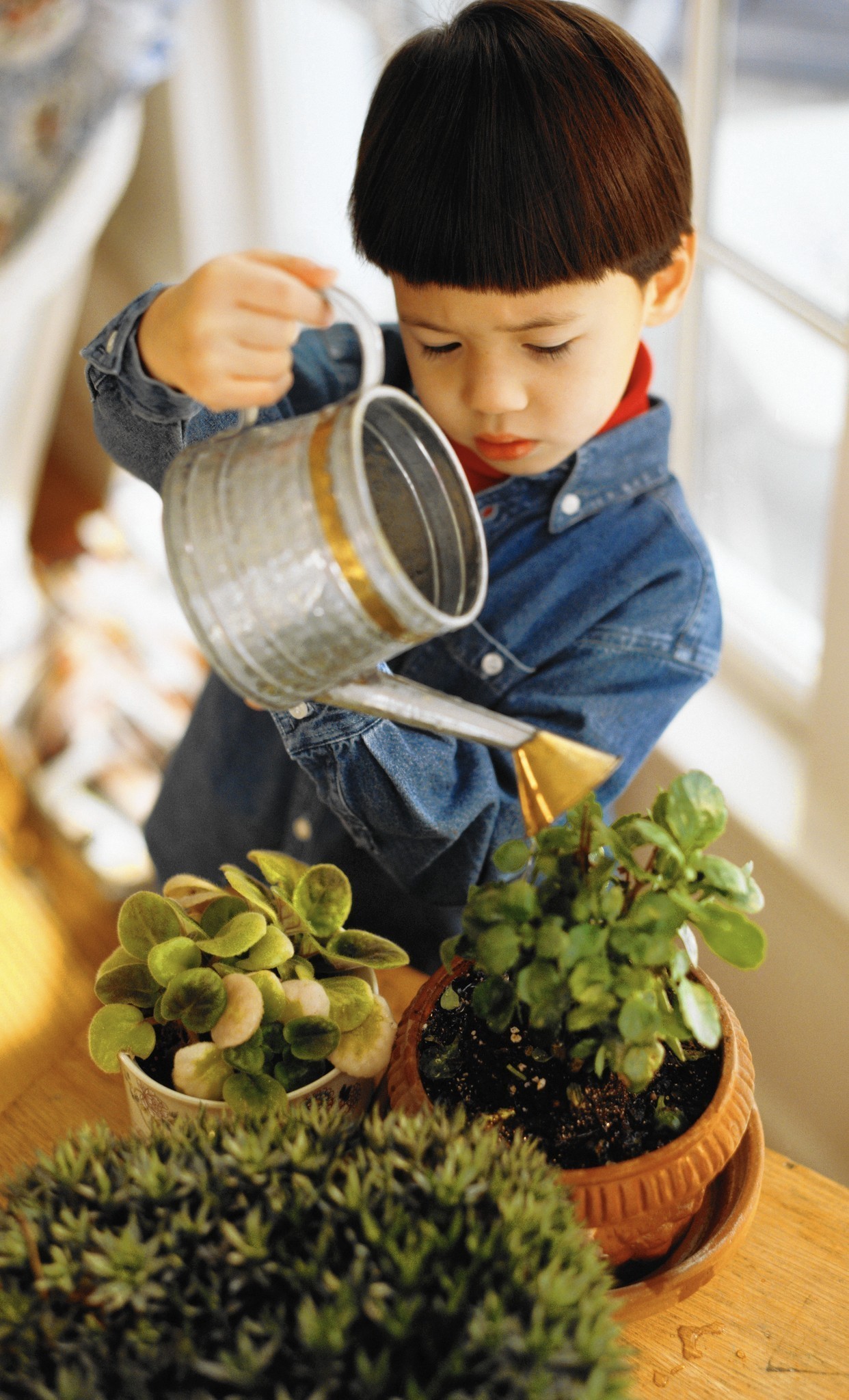 Children can grow along with the houseplants they tend