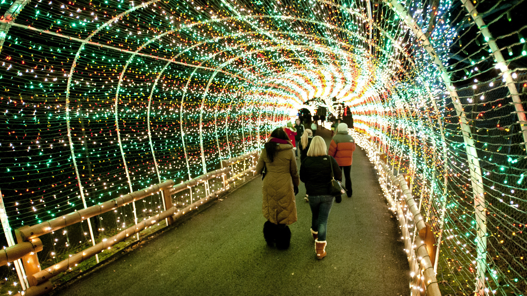 Allentown Zoo Christmas Lights | 0