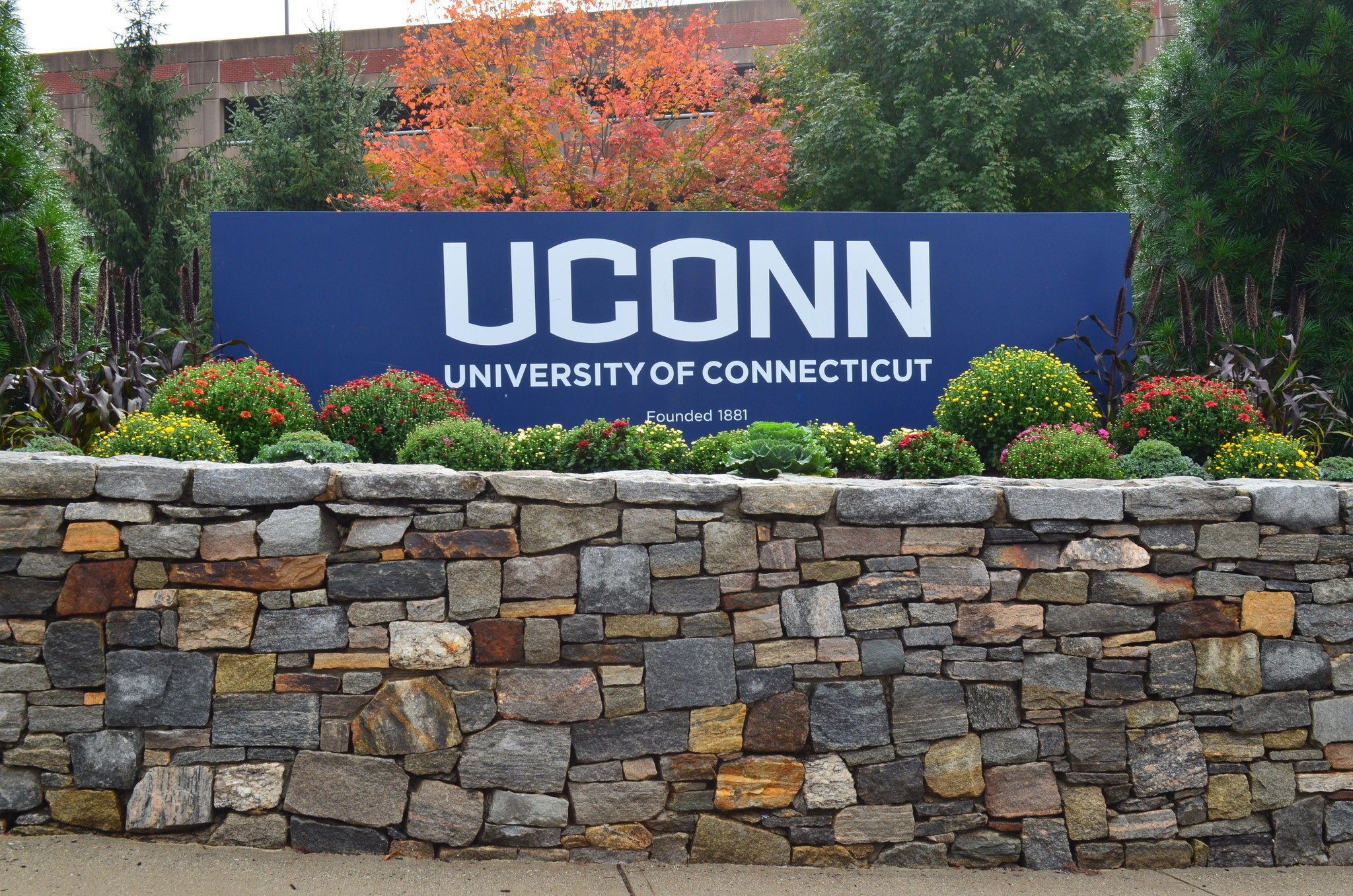 UConn's Incoming Class By The Numbers - Hartford Courant