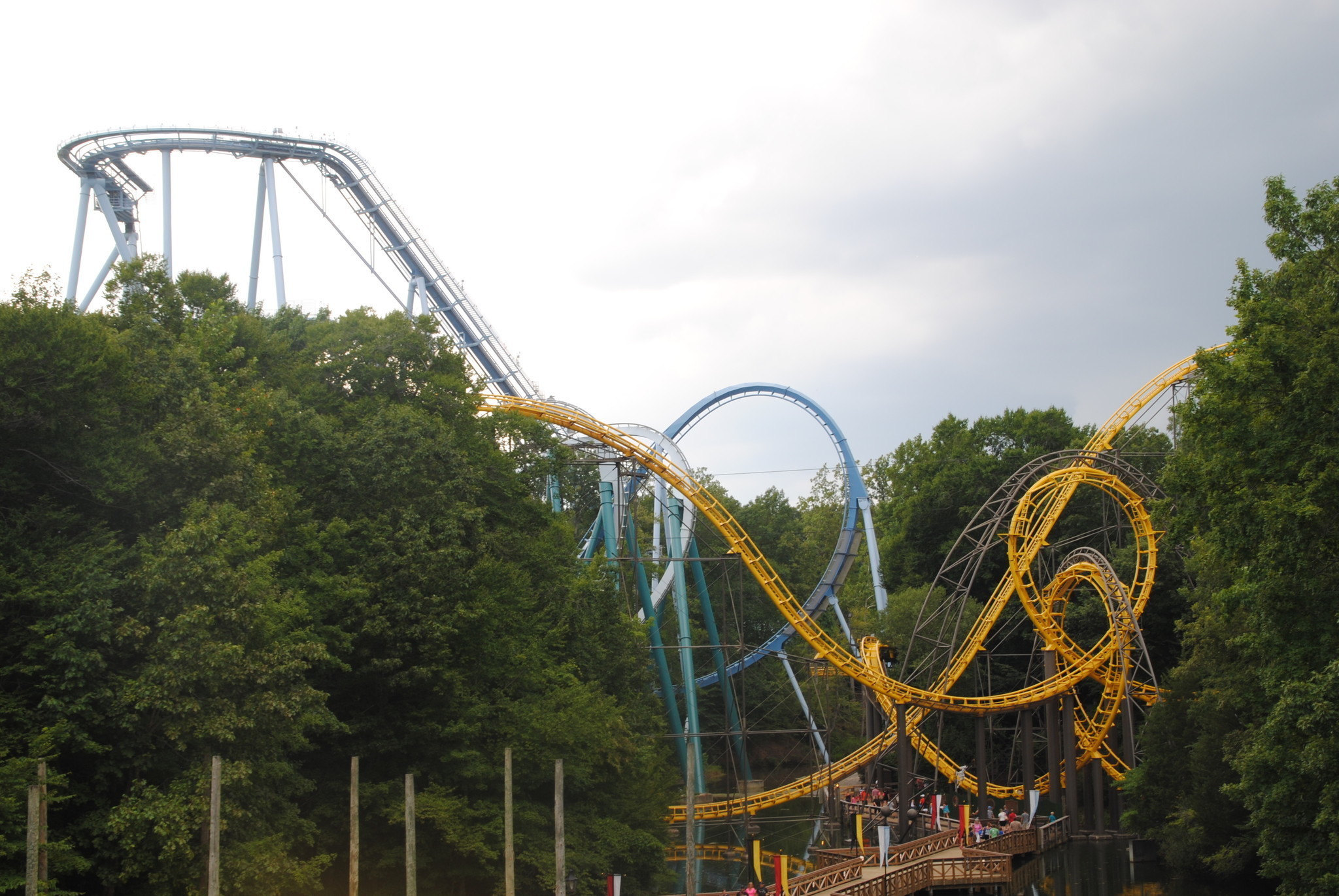 Riders Stuck On Roller Coaster Removed Safely At Busch Gardens Williamsburg Daily Press