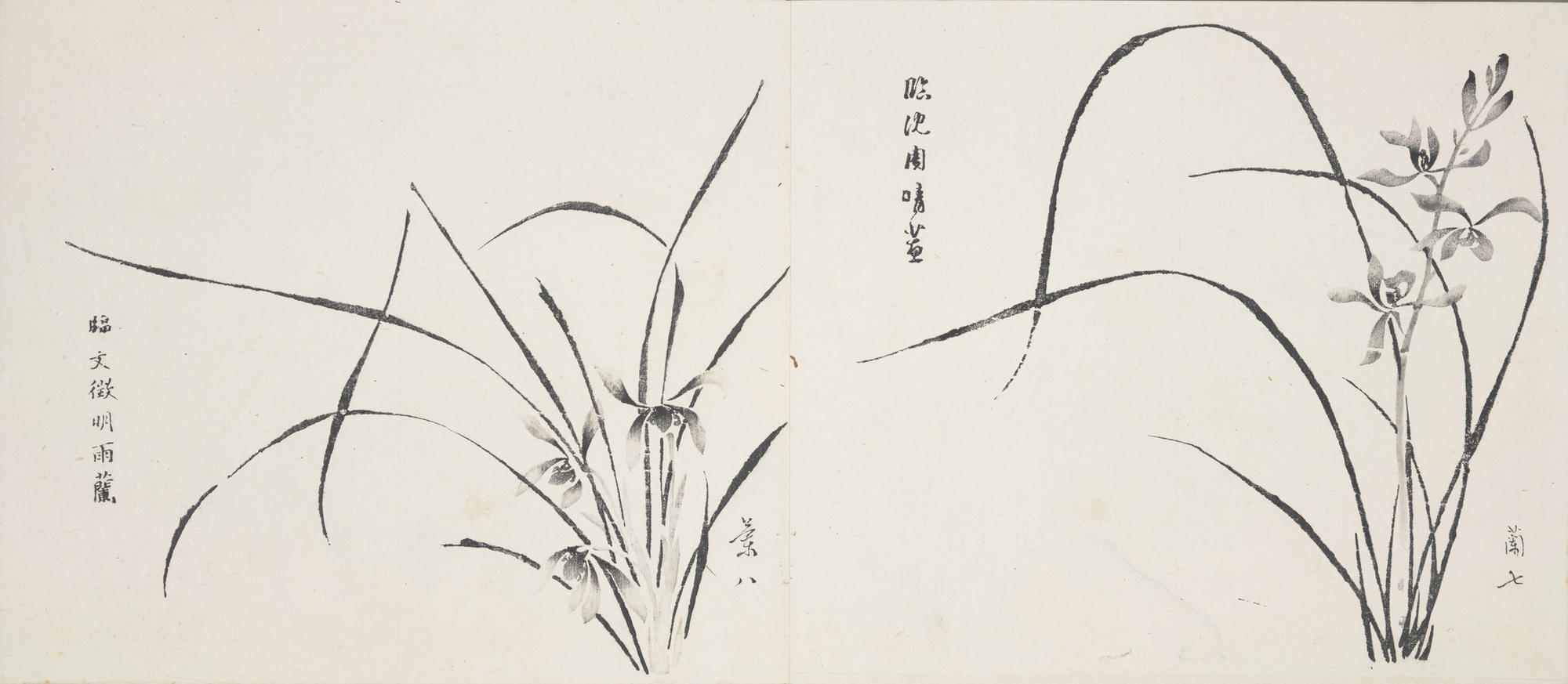 Lotus leaf, lotus root and two jitou capsules, with calligraphy by Sun Yuwang, Fruit 10, 