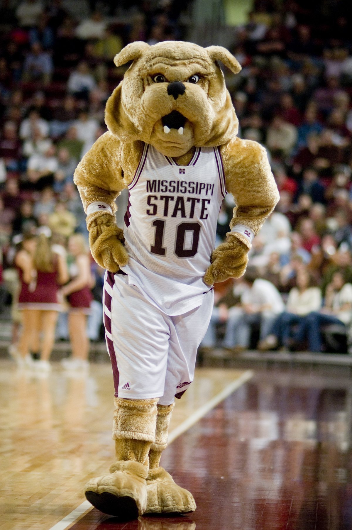 Mississippi State S Bully Mascot Settles Wrongful Injury