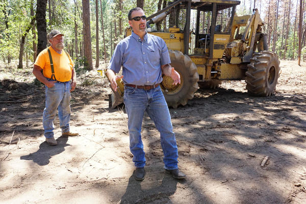 Assemblyman Brian Dahle (R-Bieber) talks about how thinning crowded trees will keep the forest healthy. In the background is logger Lonnie Blunt, 63, of Burney. Dahle proposed a bill last year that would direct cap-and-trade money to help offset the costs of biomass plants.