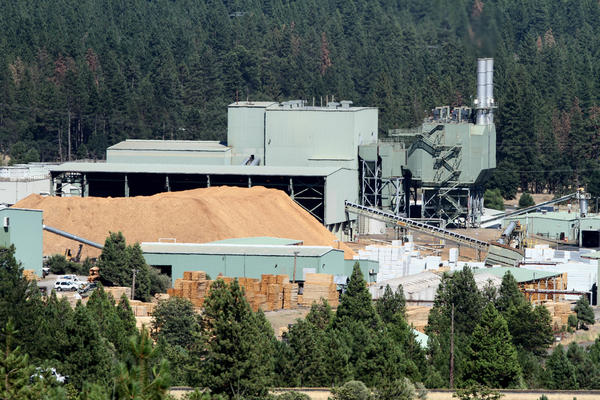 Burney Forest Power, a biomass plant, operates on the same property as logging business Shasta Green in Burney.