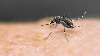 Palm Beach County ramps up fight against Zika
