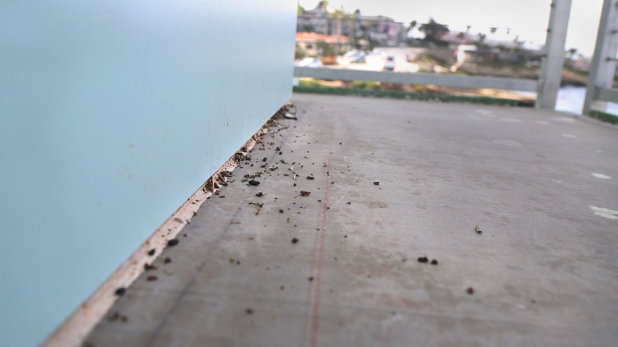 The Lifeguard tower at Children's Pool in La Jolla opened to the public in June, and promptly closed again three weeks later with a myriad problems, including a rat infestation in the walls.