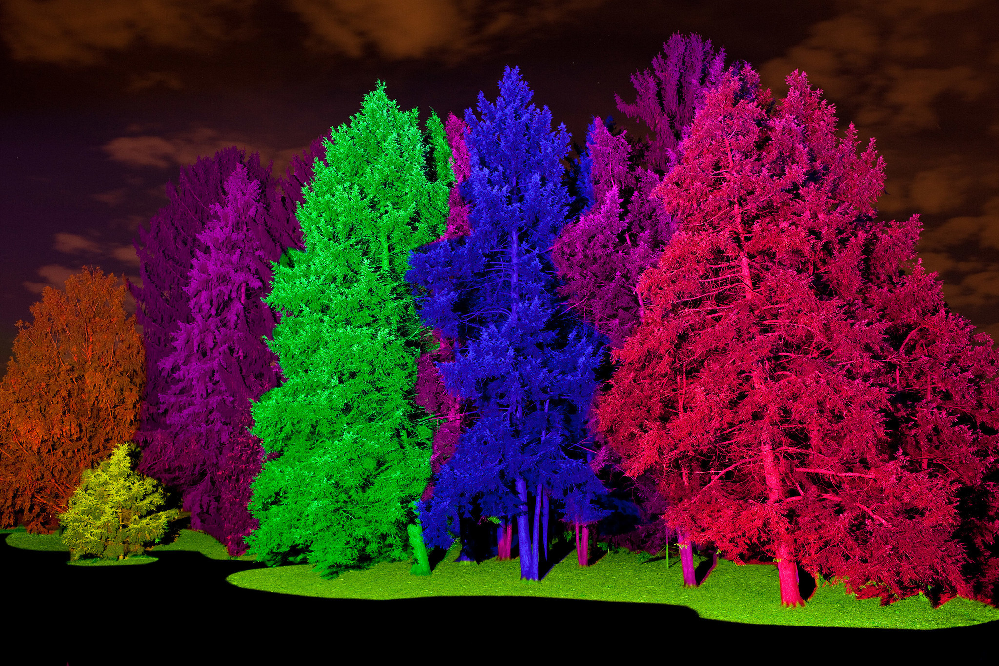 Illumination: Tree Lights at Morton Arboretum - Chicago ...
