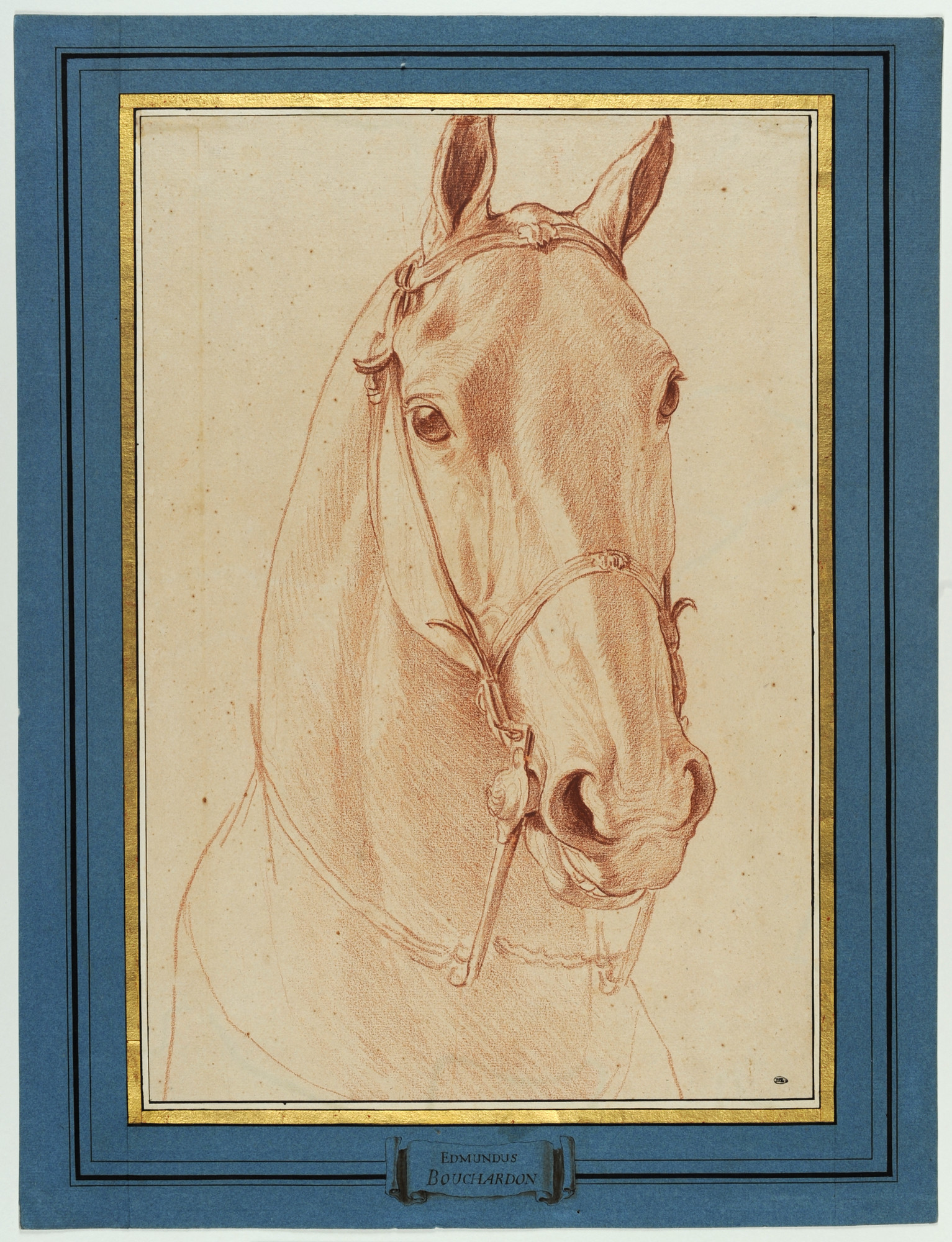 Edme Bouchardon, "Head of a Horse," 1749-52, red chalk.