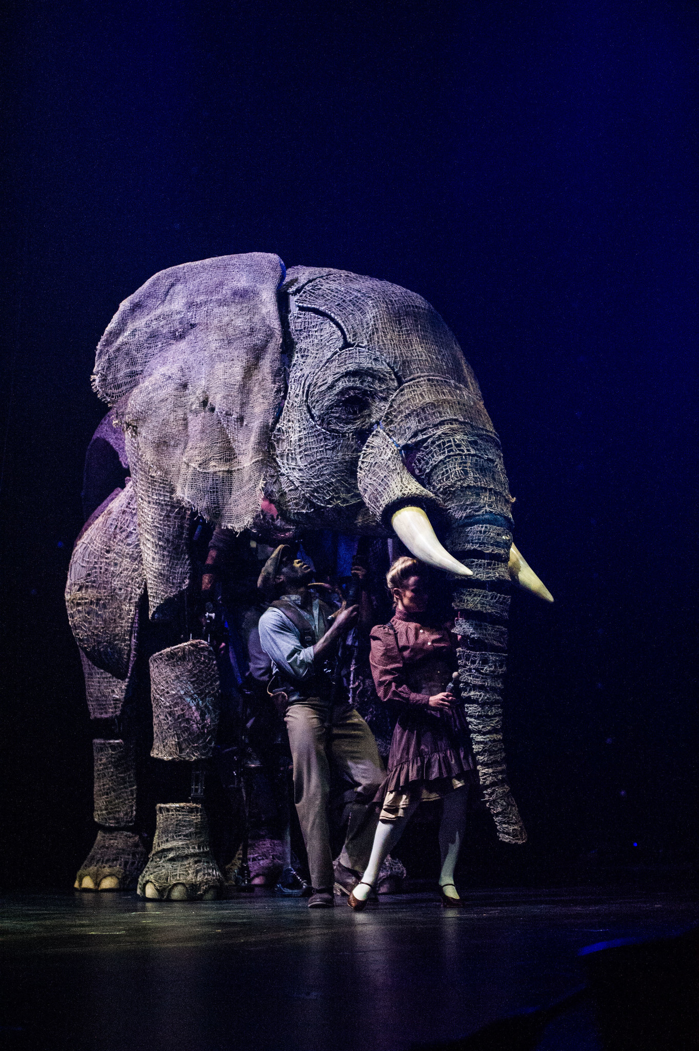 The creative team behind the "War Horse" puppetry designed the lifelike elephants in "Circus 1903."