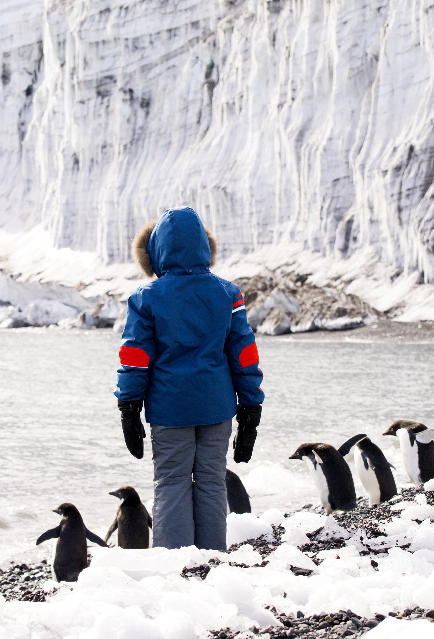 Nikolai and the penguins in Antarctica.