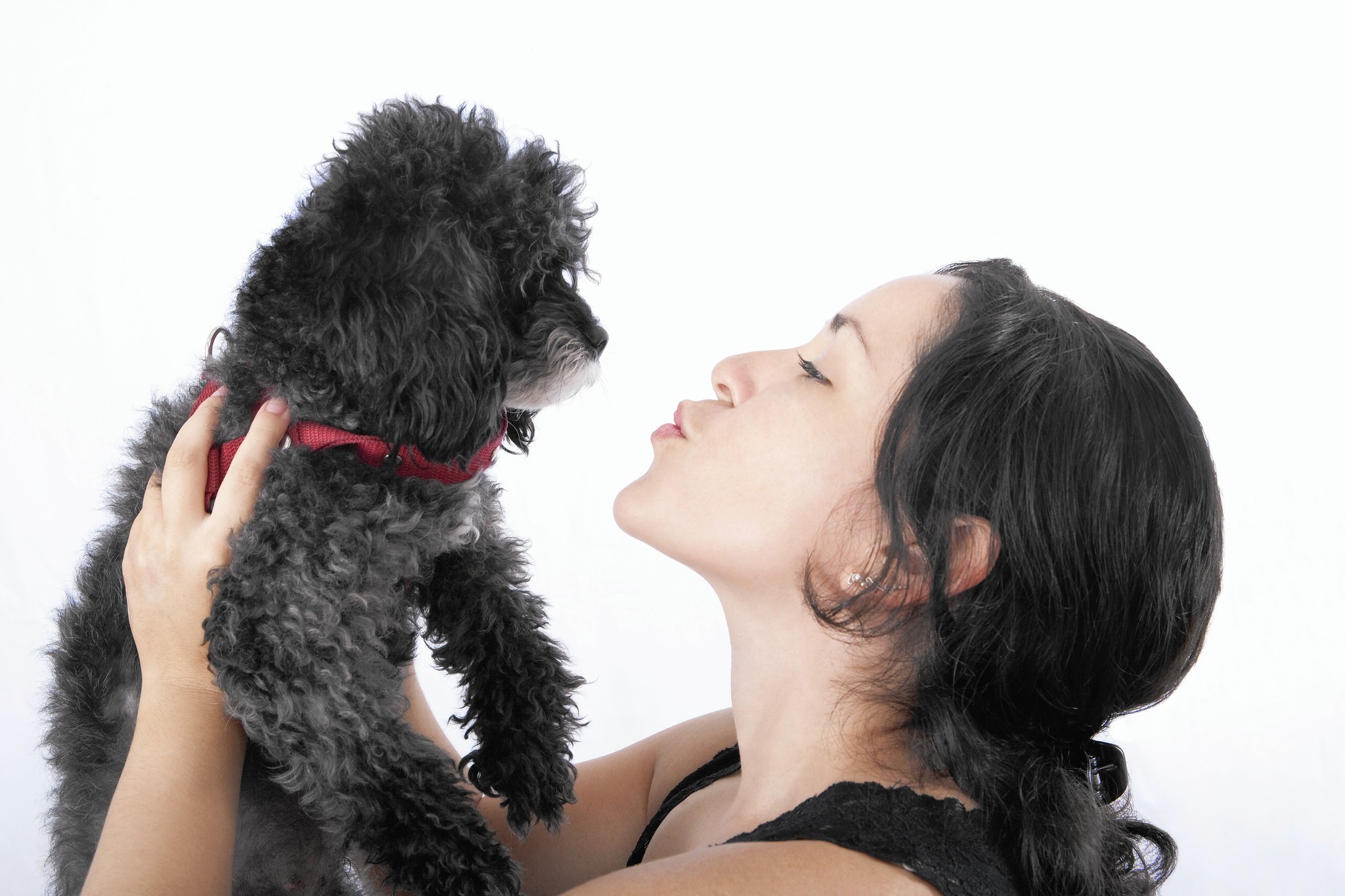 Partner kisses dog, then you. How to handle it. - Chicago Tribune