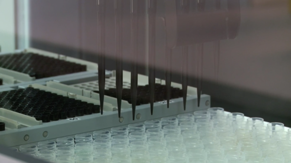 DNA is extracted at 23andMe's genotyping lab.