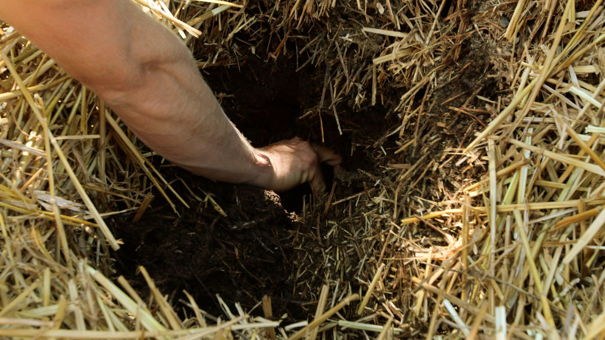 The book details how to make supersoil, or biodynamic compost.