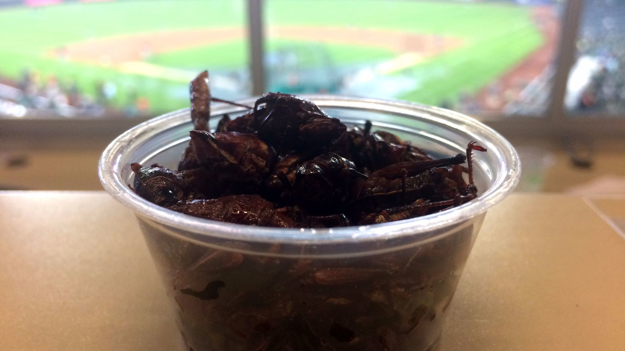 I ate Safeco Field’s grasshoppers and lived to write about ...
