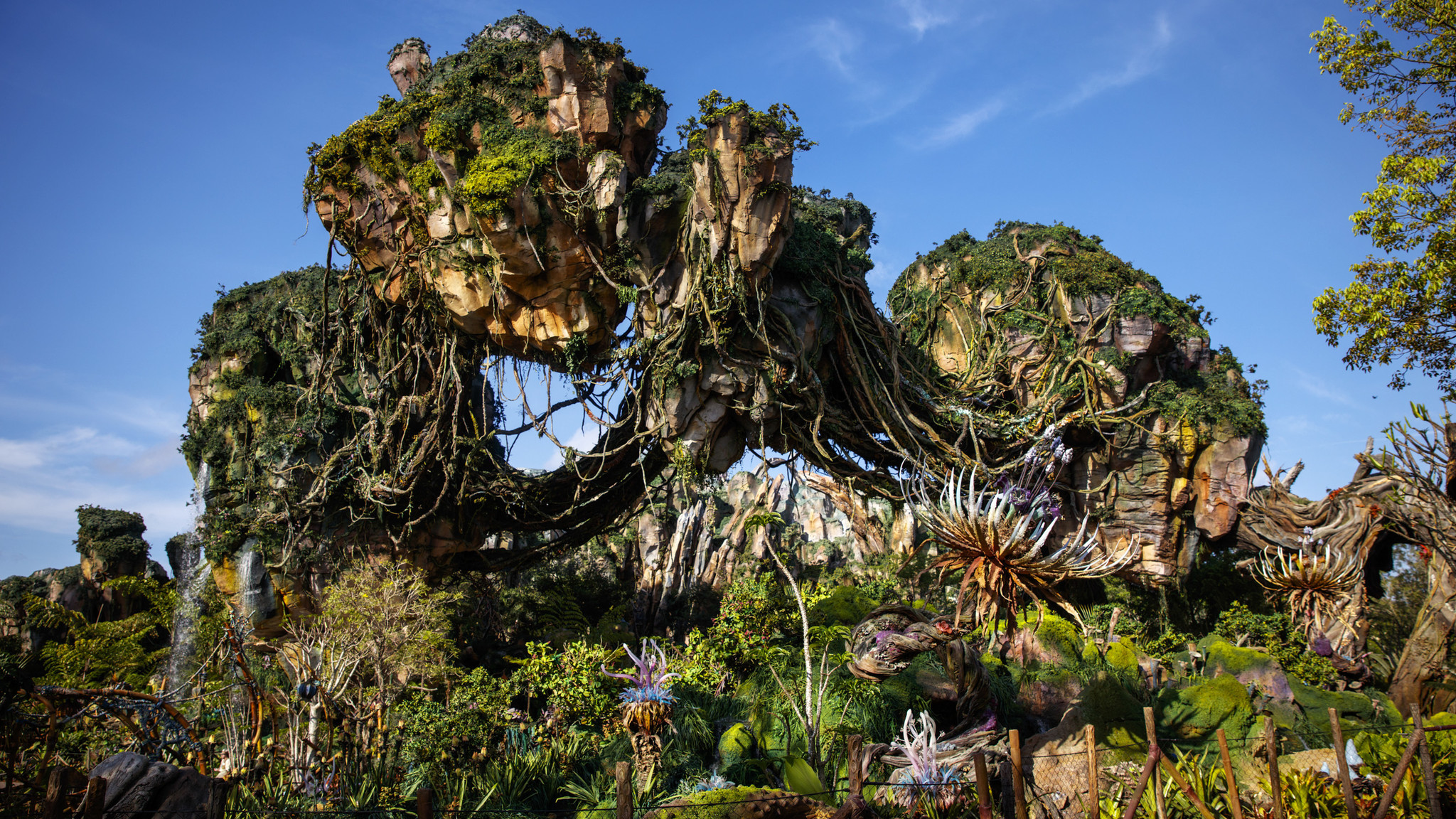 The floating mountains of Pandora.