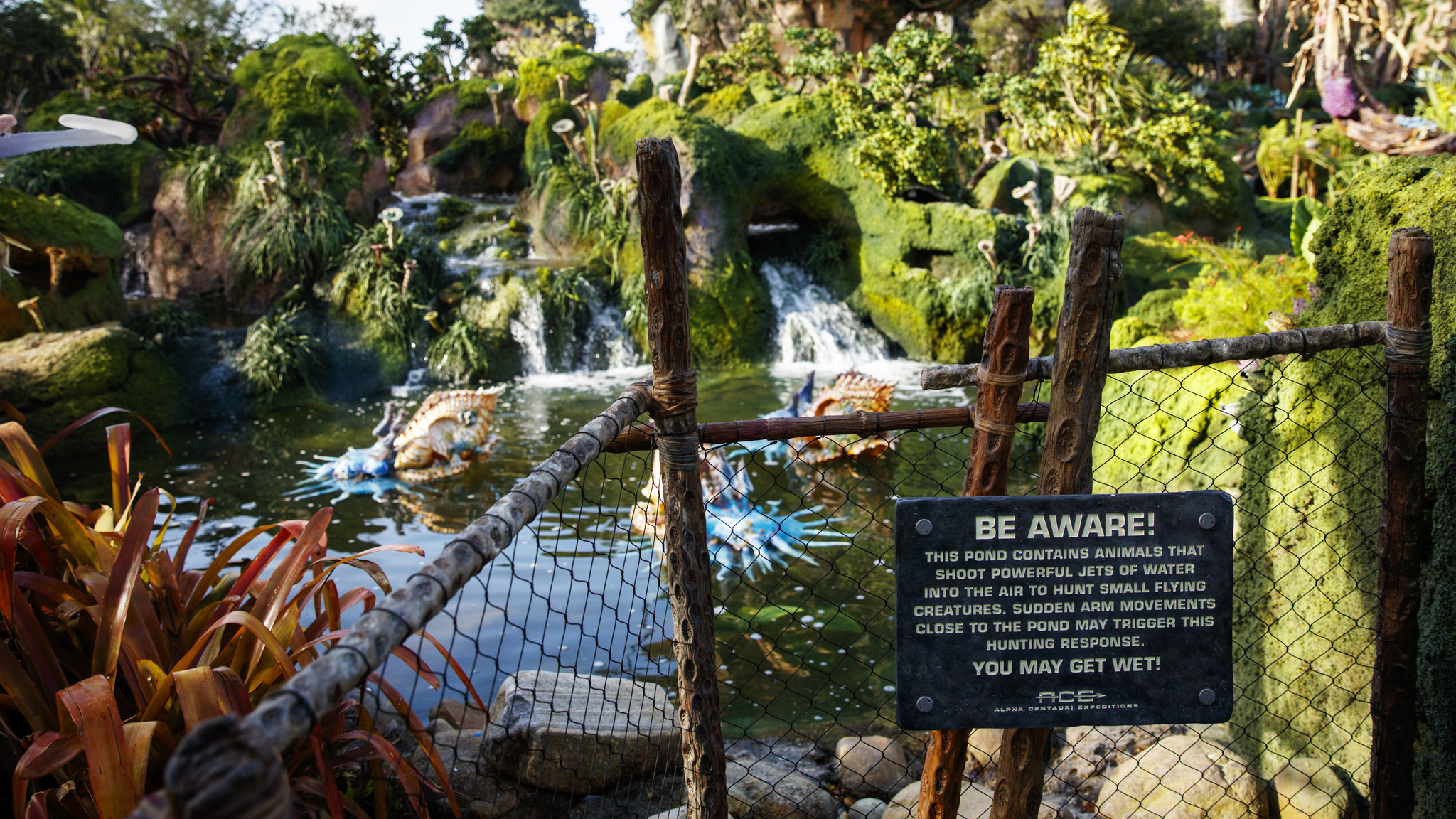 A look at some of the Pandora creatures in one of the land's ponds.