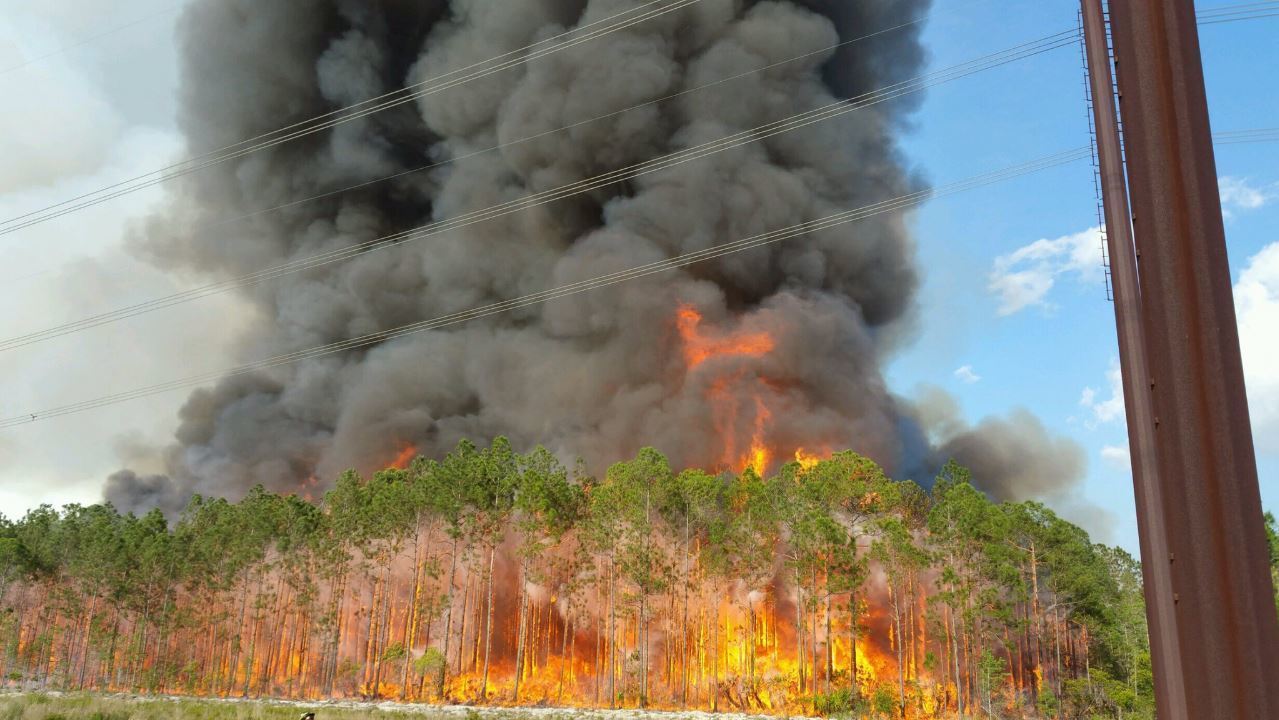 Fire risk reaches extreme levels in Orange, Seminole ...