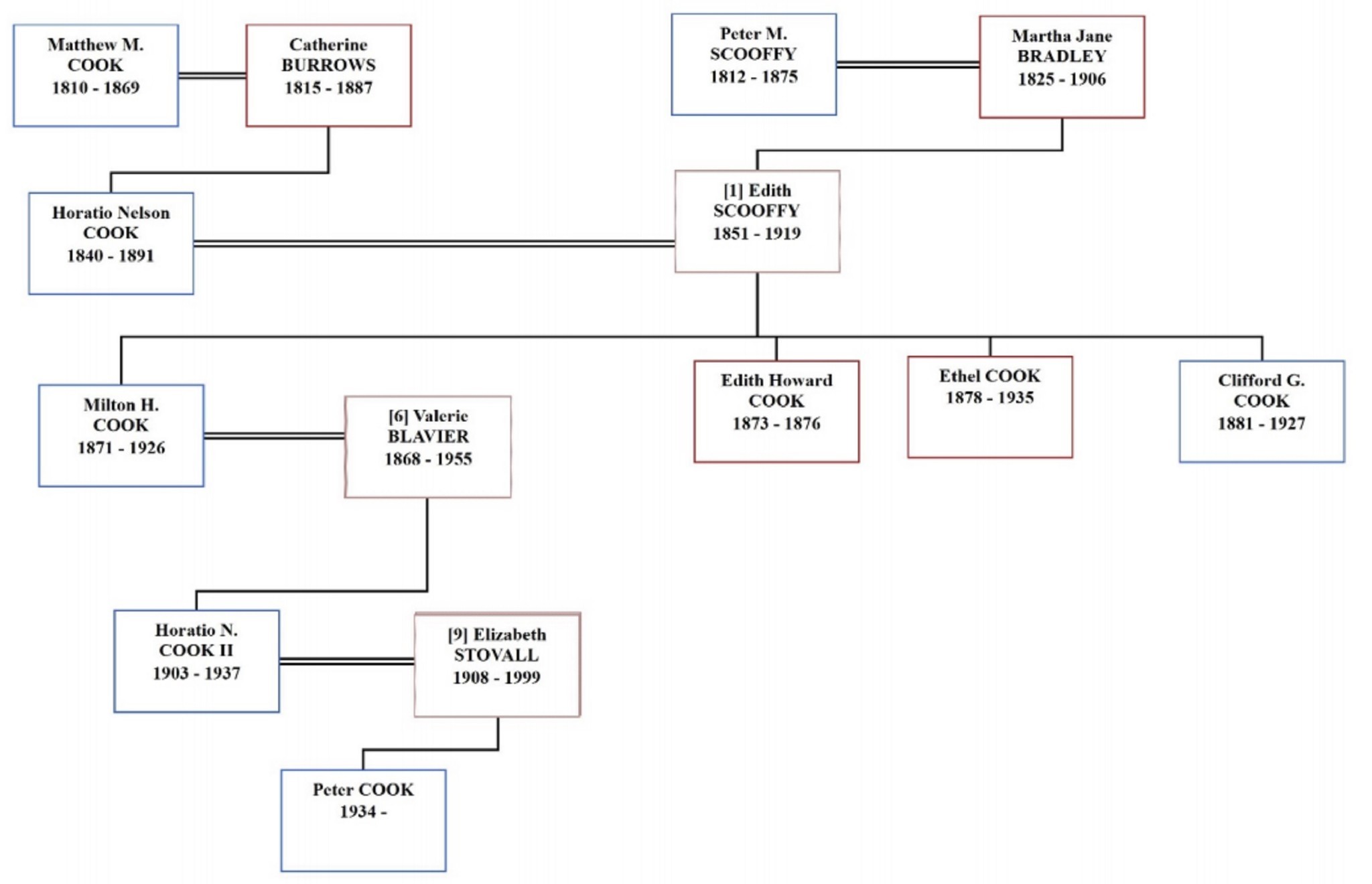 The family tree shows living descendant Peter Cook in relation to Edith Cook, a.k.a. "Miranda Eve."