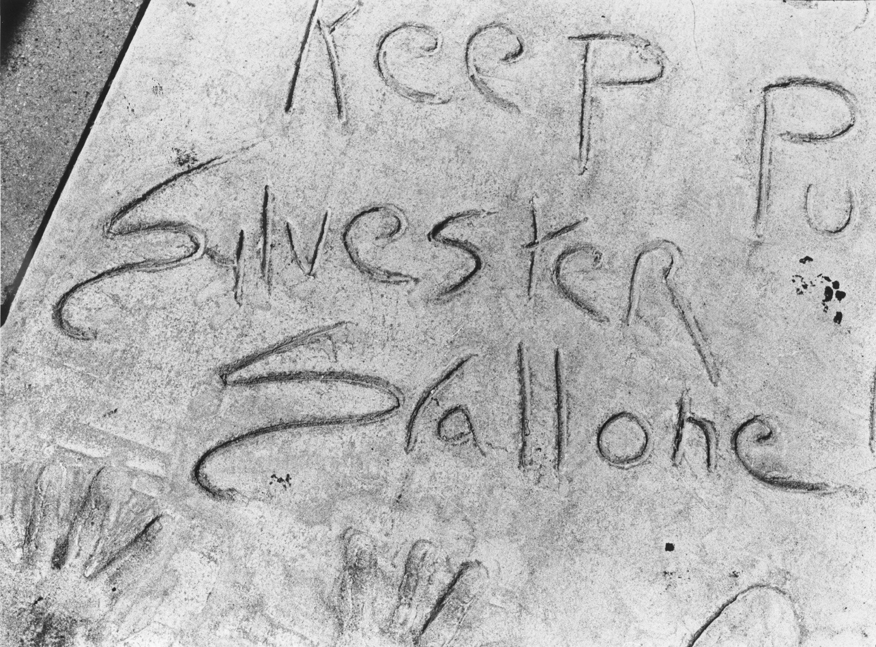 Sylvester Stallone's misspelled named etched in wet concrete in front of Mann's Chinese Theater.