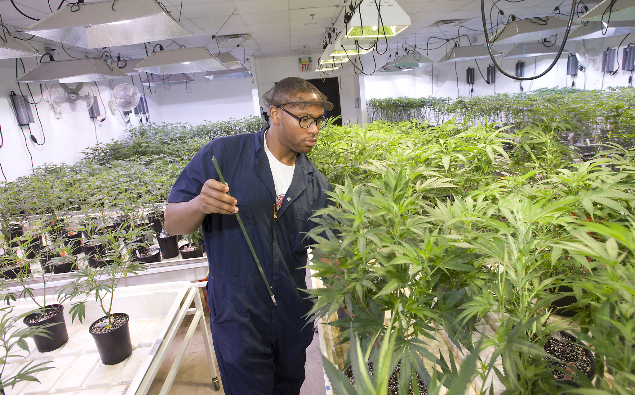 Pictures Medical Marijuana Flourishes At Garden State Dispensary