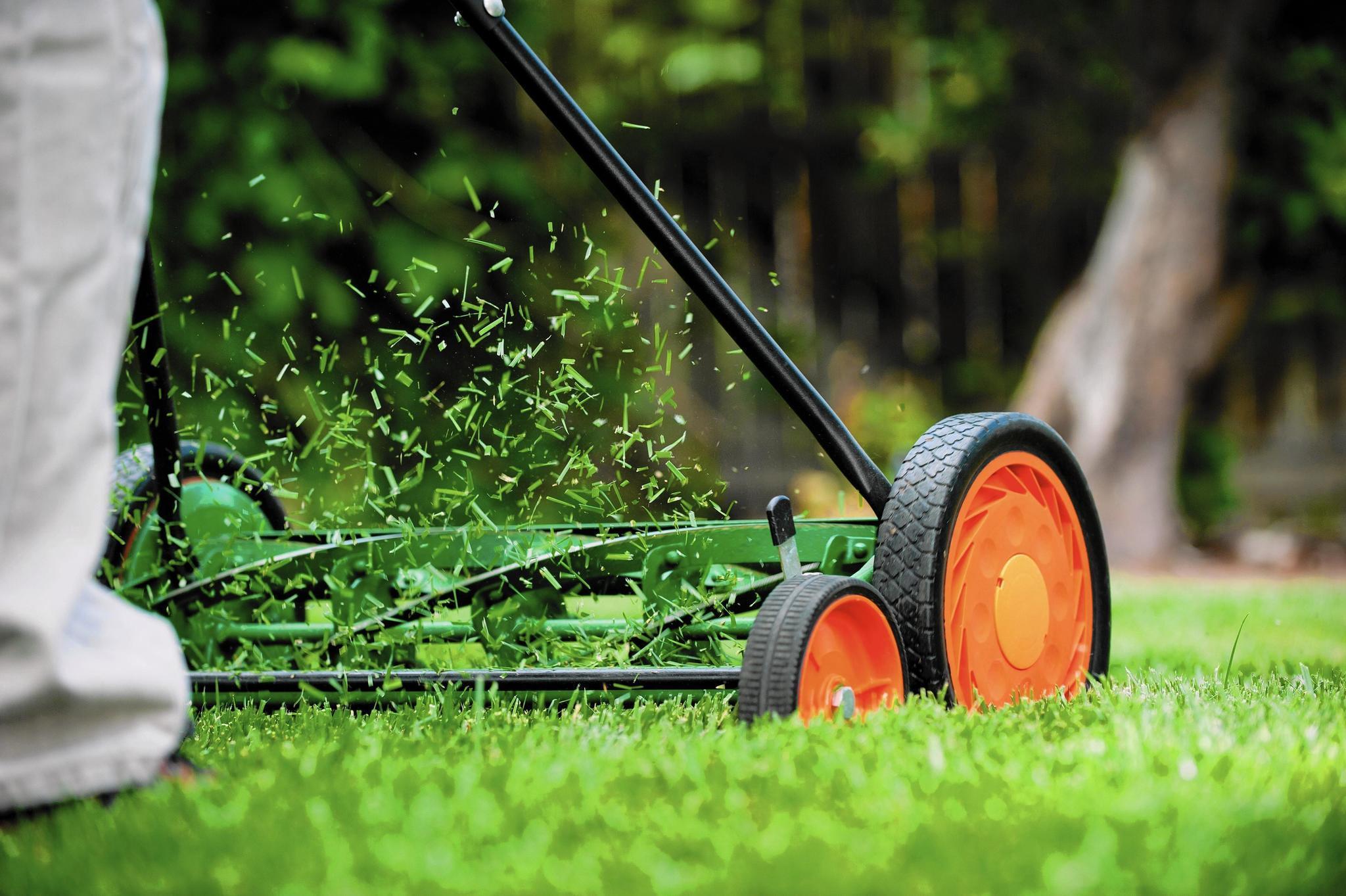 Fertilize your lawn for free with grass clippings - Chicago Tribune