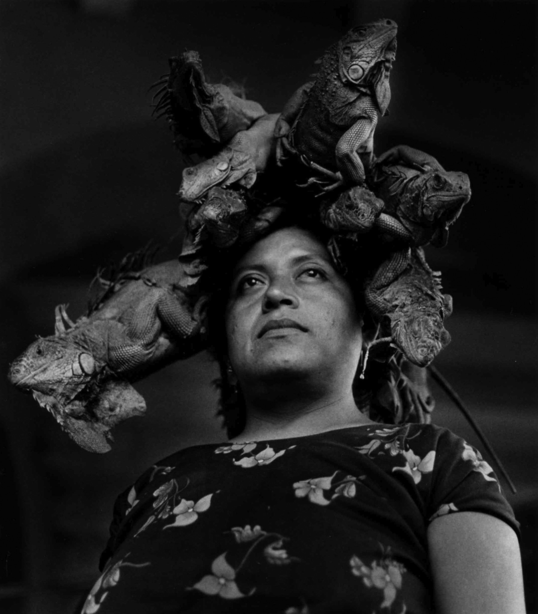 "Our Lady of the Iguanas, Juchitán, Mexico," 1979, is one of Graciela Iturbide's most iconic images.
