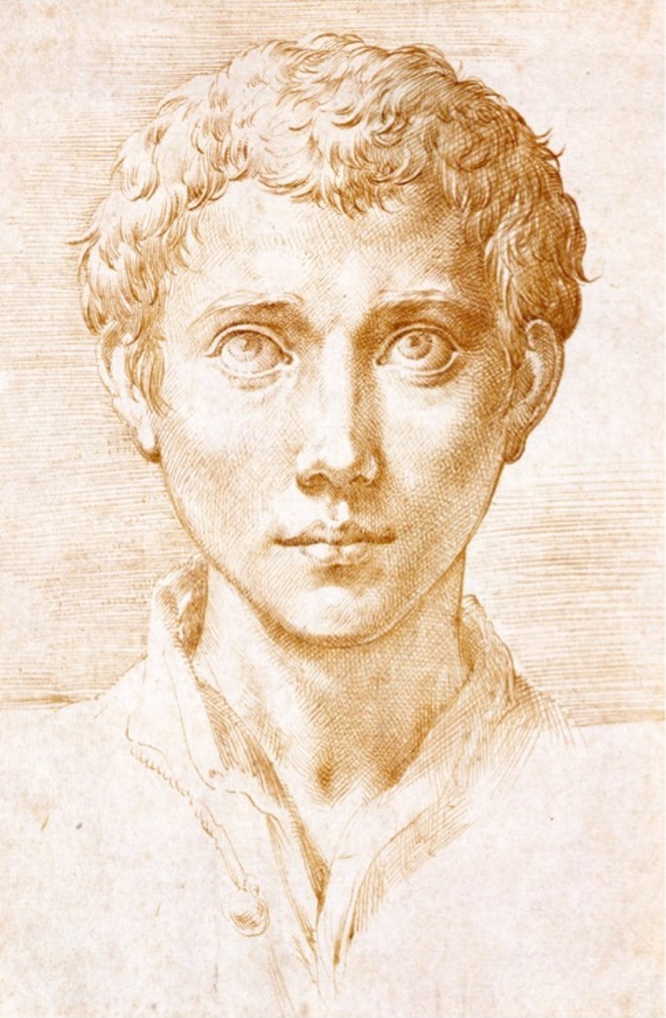 Parmigianino, "Head of a Young Man," circa 1539-40, ink