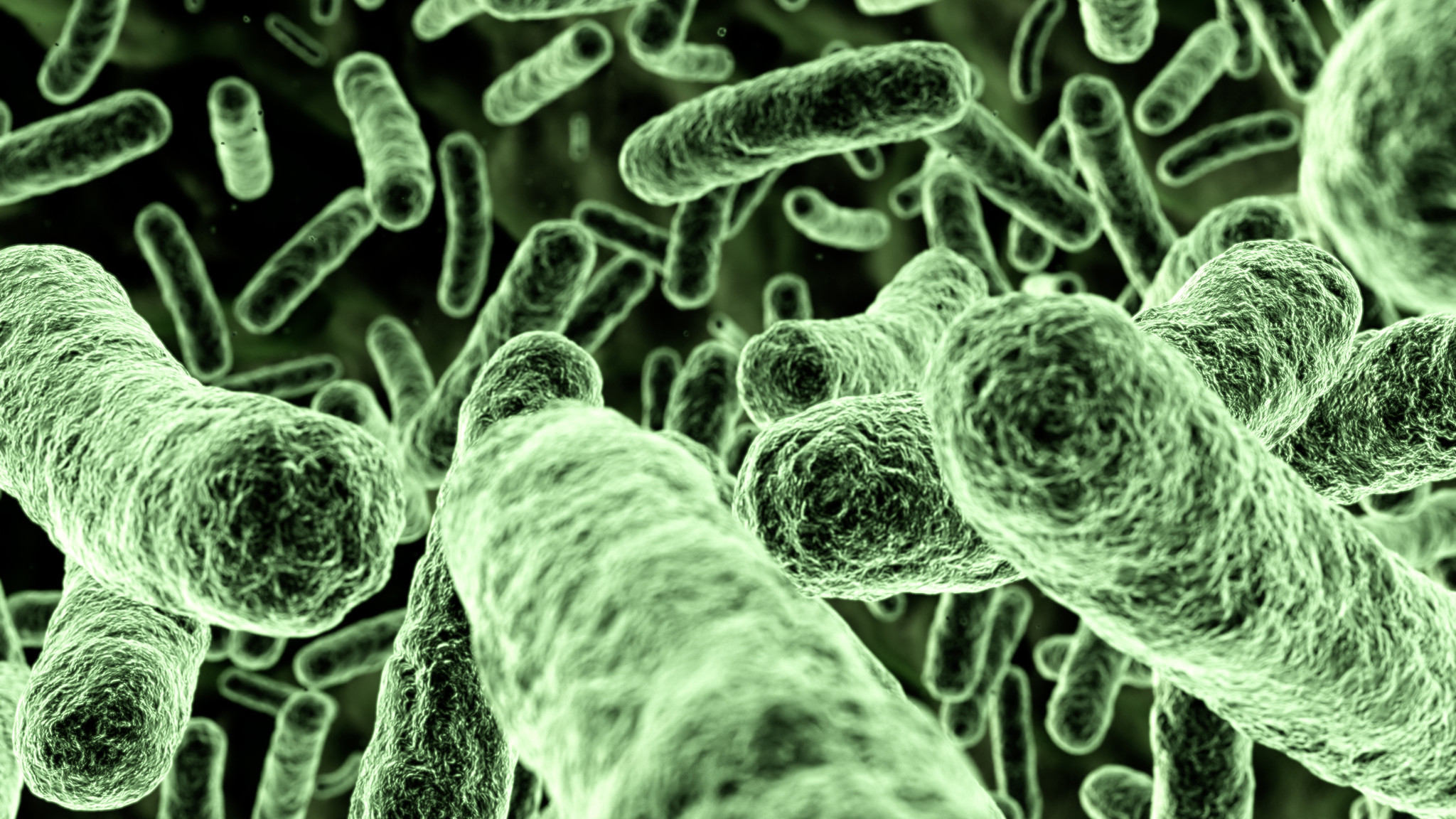 Бактерии хозяева. Бактерии. Микроорганизмы на коже человека. Патогенные бактерии под микроскопом.
