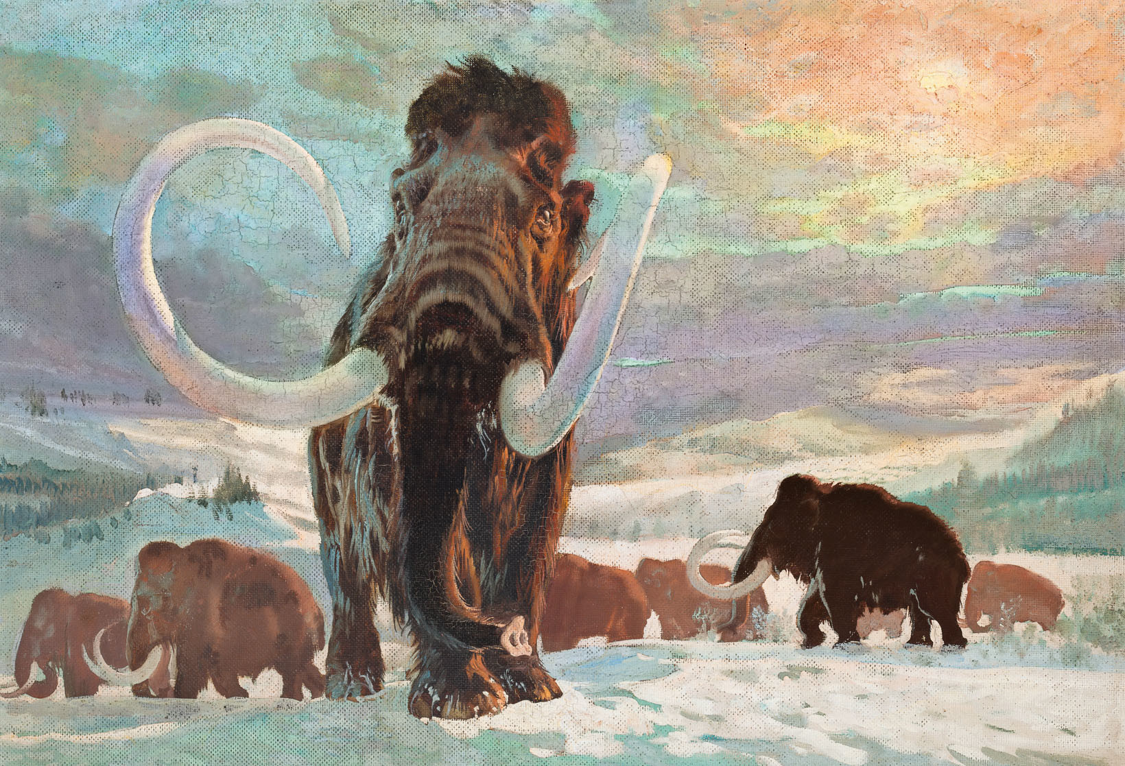 "Mammoth (Elephas primigenius)" Zdenek Burian, 1941.