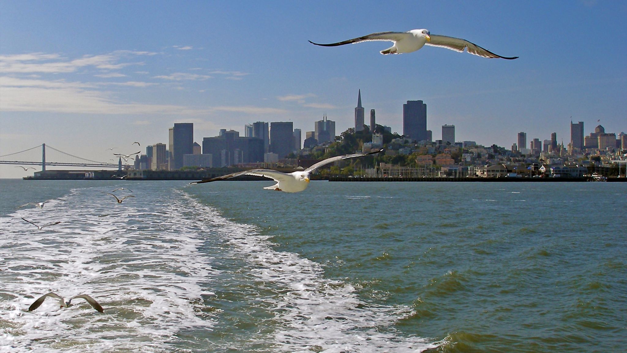 Keep your cool and get cool views of San Francisco on a ferry ride.