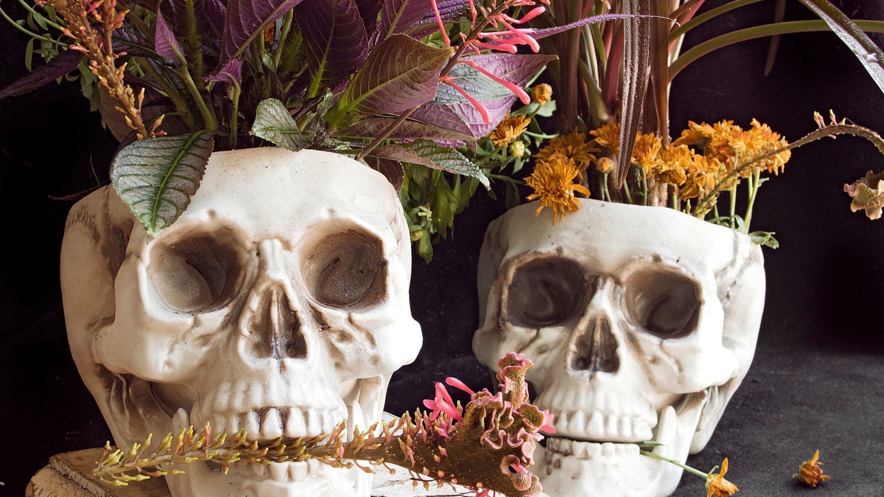 Fairchild's Tropical Garden Column: Let’s make Halloween a 'plant' holiday - Sun Sentinel
