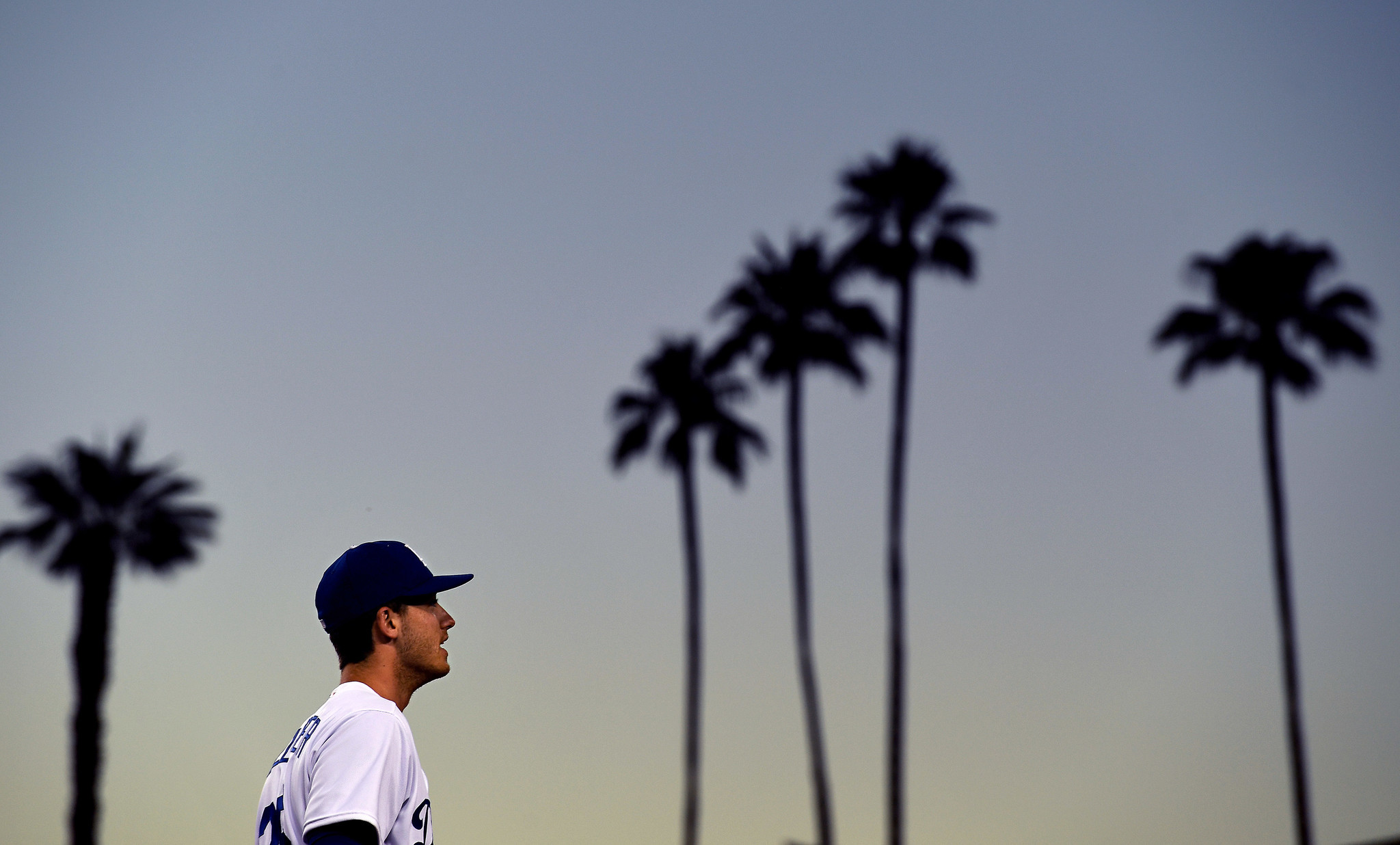 Dodgers rookie Cody Bellinger is flanked by palm trees during a game at Dodger Stadium.