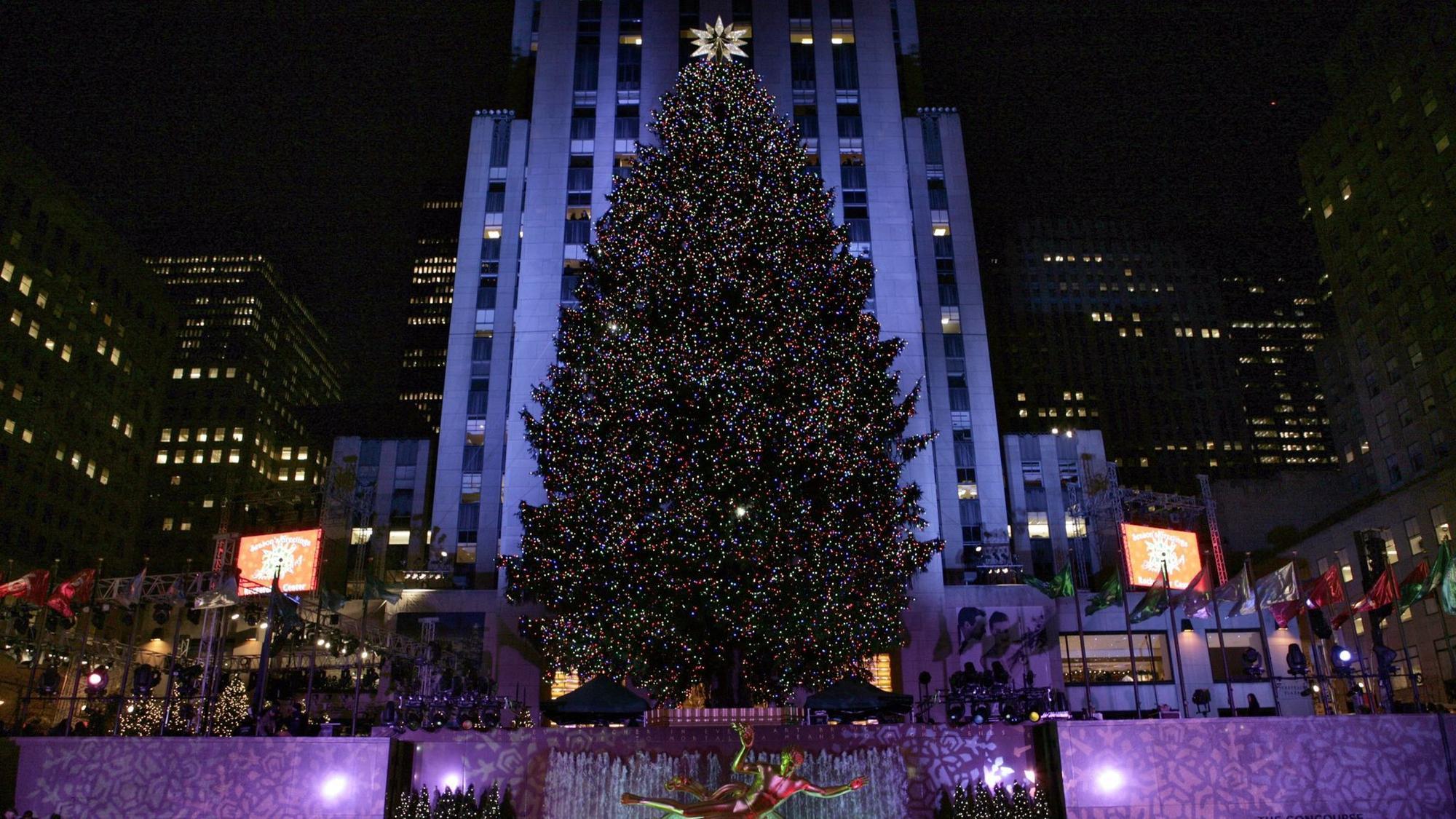 Rockefeller Center Christmas tree to come from Pennsylvania - The Morning Call