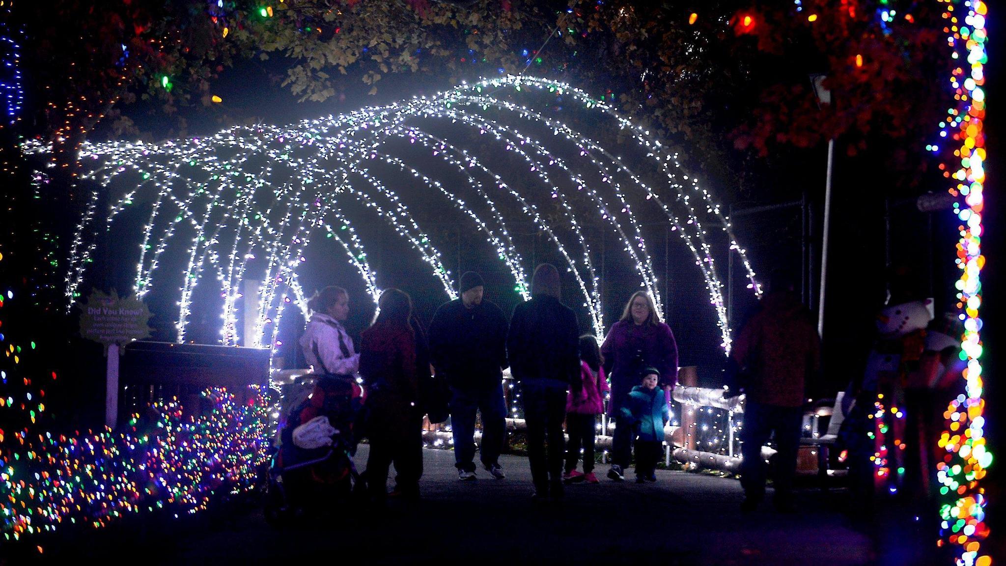 Lehigh Valley Zoo&#39;s spectacular light show - The Morning Call