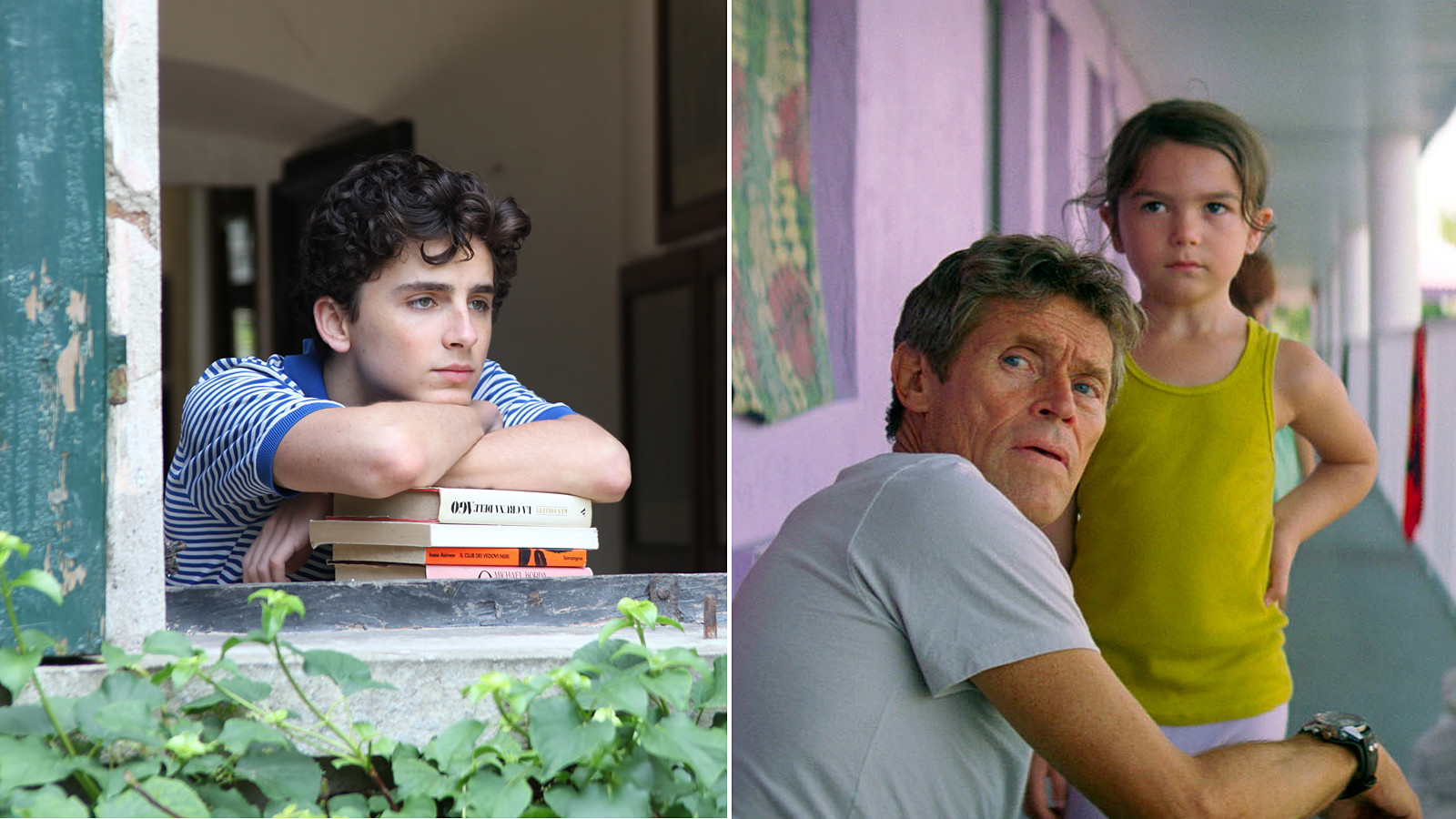 'Call Me By Your Name' and 'The Florida Project'