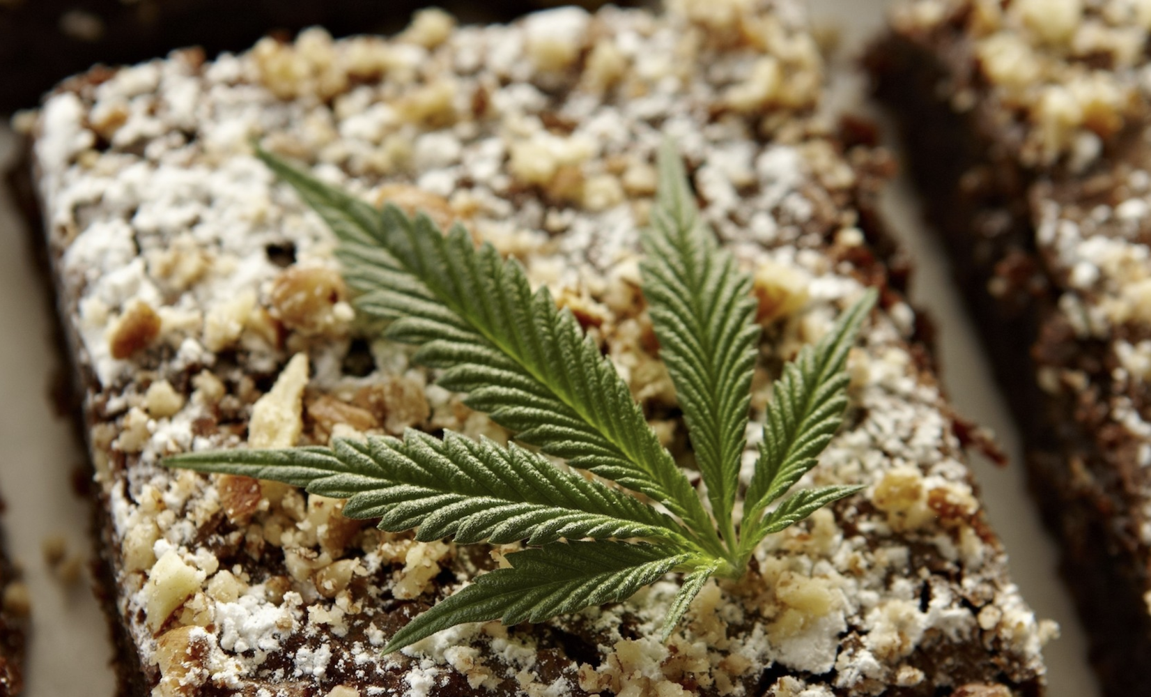 Трава план конопля краснеет стебель марихуаны