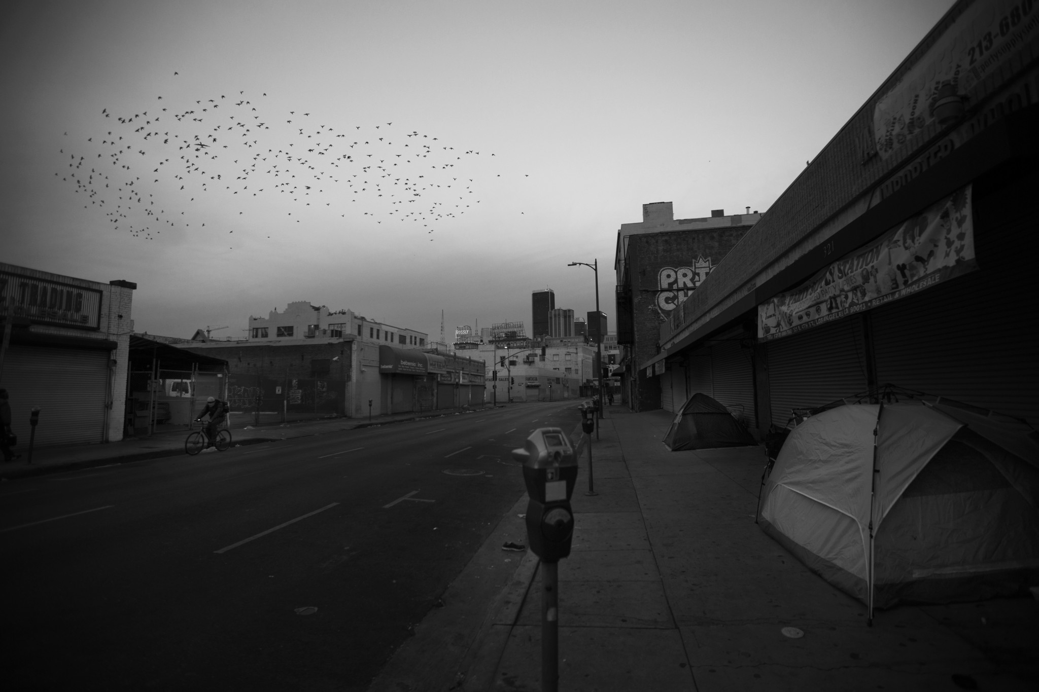 A flock of birds flies over a sidewalk encampment early one morning--as if they could lift up the m