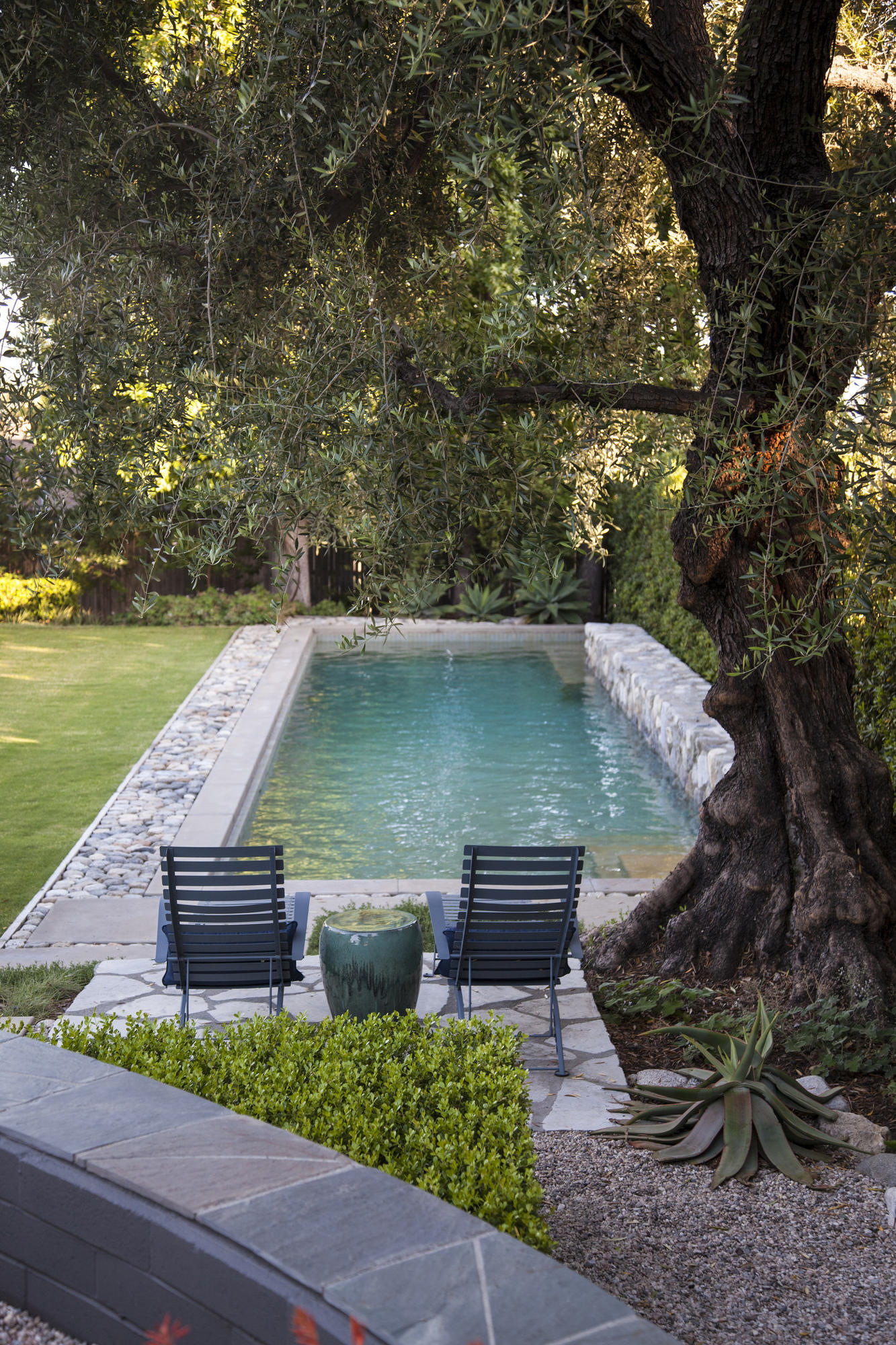 A new garden with a traditional twist in Pasadena