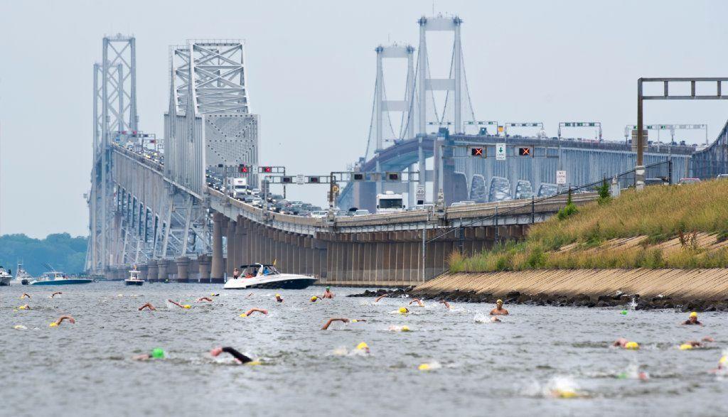 Conquering the bay in the Great Chesapeake Swim Baltimore Sun