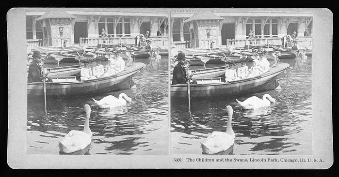 The children and the swans, Lincoln Park. (circa March 29, 1890)