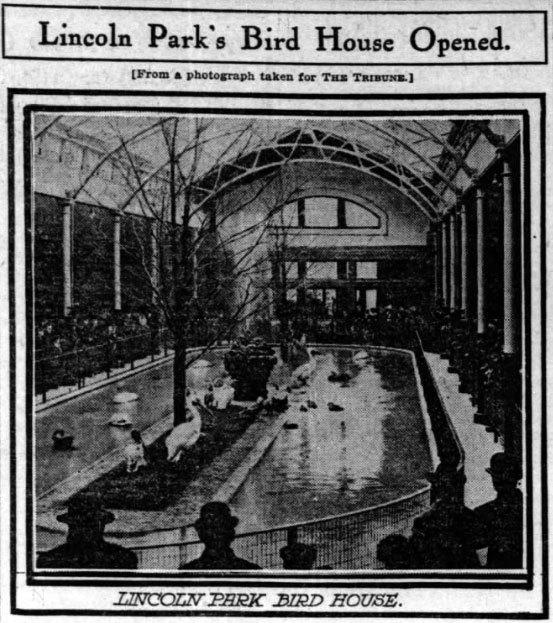 Bird House, 1904