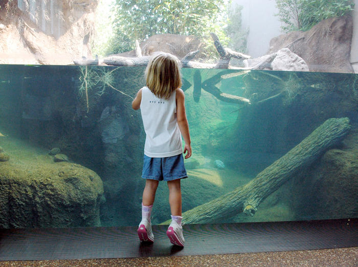Pritzker Family Children's Zoo, 2005