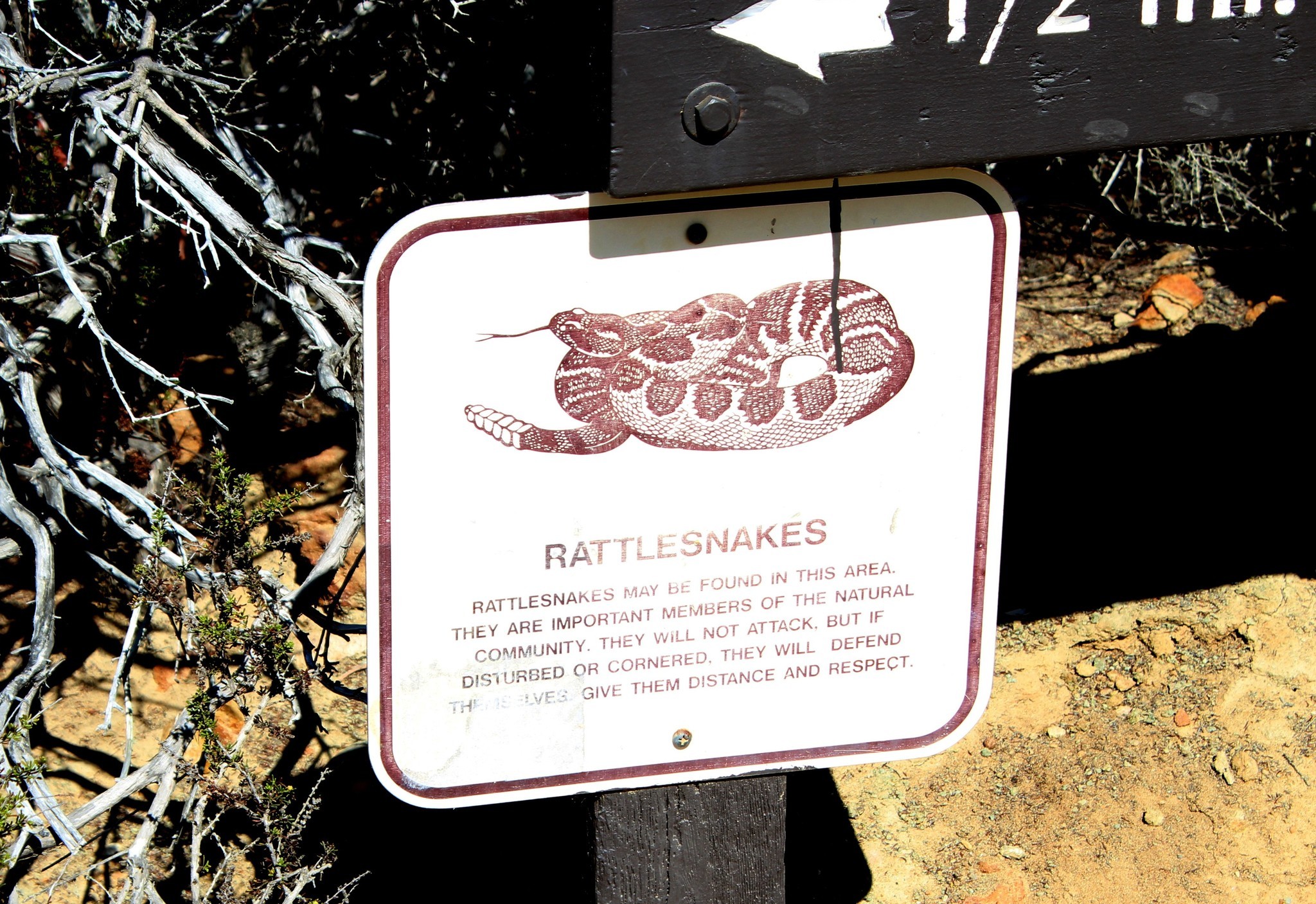 The rendering of a snake posted on warning signs all over Torrey Pines State Nature Reserve represents a Western Rattlesnake.