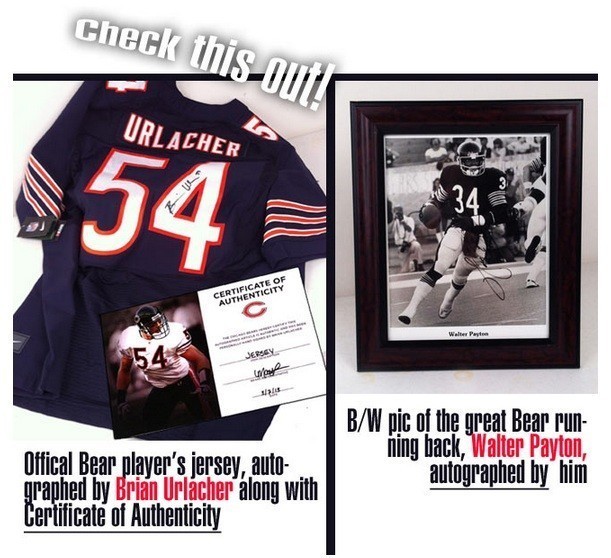 Urlacher Bears Reject Link To Group Opposing Same Sex Marriage 