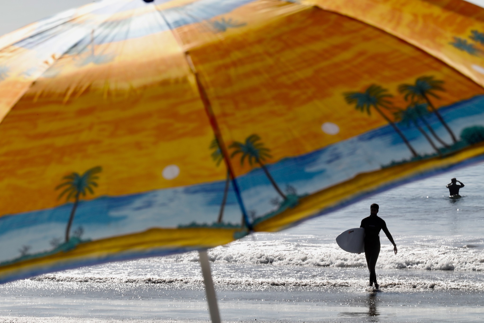 'Stop, Drop and Surf': It's California Surfing Day - Los Angeles Times2048 x 1365