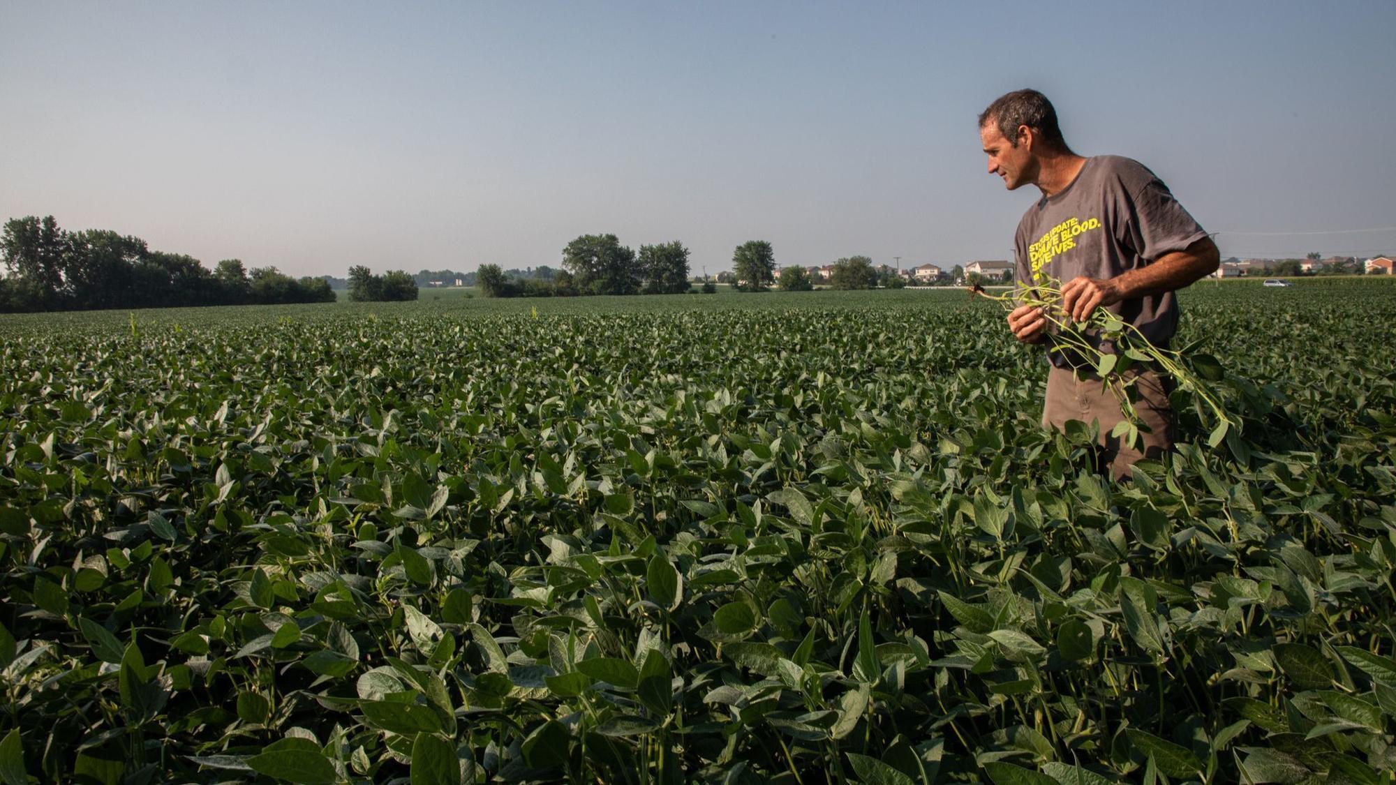 Climate Change Imperils Midwest Ag Production