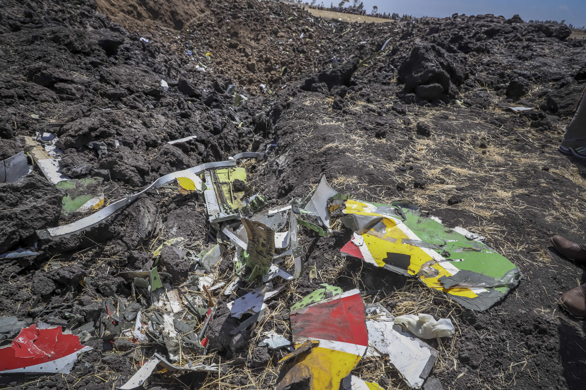 Image result for Ethiopian Airlines crash